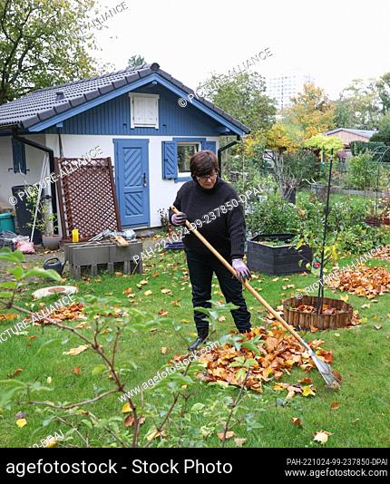 21 October 2022, Berlin: Anke Bartningkat gardening in her allotment garden in the allotment garden site ""Grüner Grund""