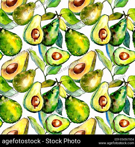 Exotic green avocado wild fruit in a watercolor style pattern. Full name of the fruit: avocado. Aquarelle wild fruit for background, texture