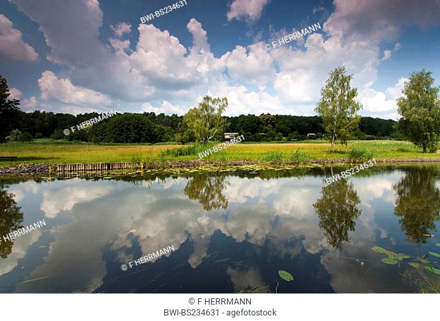 reflections of clouds and shore vegetation in the water of a lake, Germany, Brandenburg, Vogtlaendische Schweiz