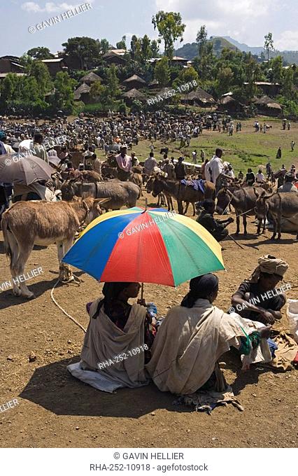 People walk for days to trade in this famous weekly market, Saturday market in Lalibela, Lalibela, Ethiopia, Africa
