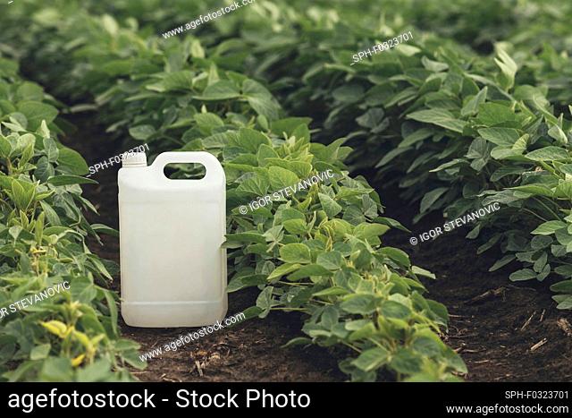 Soybean crop protection, conceptual image