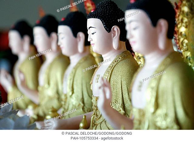 Hoi Tuong Te Nguoi Hoa buddist chinese temple. Row of buddha statues. Phu Quoc. Vietnam. | usage worldwide. - Duong Dong/Phu Quoc/Vietnam