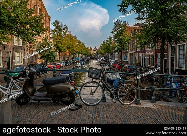 ordinary life on street in holland amsterdam during summer