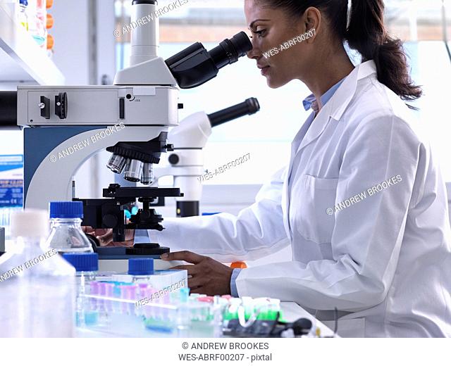 Female scientist examining a human sample on a glass slide under a microscope in the laboratory