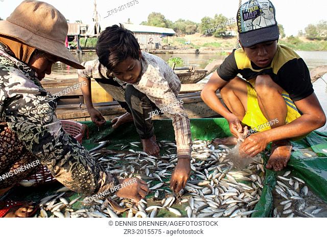 Fisherman sort through a meager catch on the Mekong River early in the morning outside of Phnom Penh, Cambodia