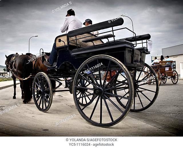 Horse carriages. Mijas. Malaga province. Costa del Sol. Andalusia. Spain