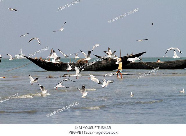 Fishing at Dubla IslandDubla Island located at the southern border of the Sundarban facing the Bay of Bengal of Bangladesh Fishing time in this island October...