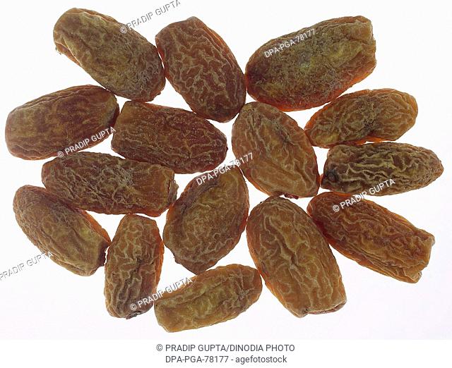 Kharik , fifteen dried fruits dry dates on white background
