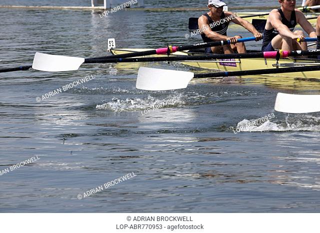 England, Oxfordshire, Henley-on-Thames, A boat crew pushing hard on their oars lifting the blades out of the water during a race at the annual Henley Royal...