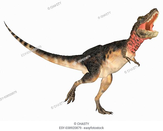 Illustration of a Tarbosaurus (dinosaur species) isolated on a white background