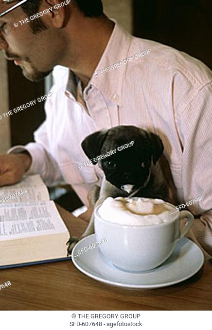Cup of CapucciNo with Puppy and Man reading