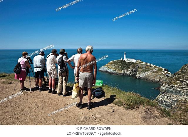 Wales, Anglesey, South Stack, Bird watching from a cliff edge over looking South Stack Lighthouse on Anglesey