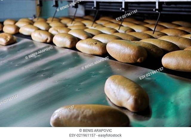 bread factory production