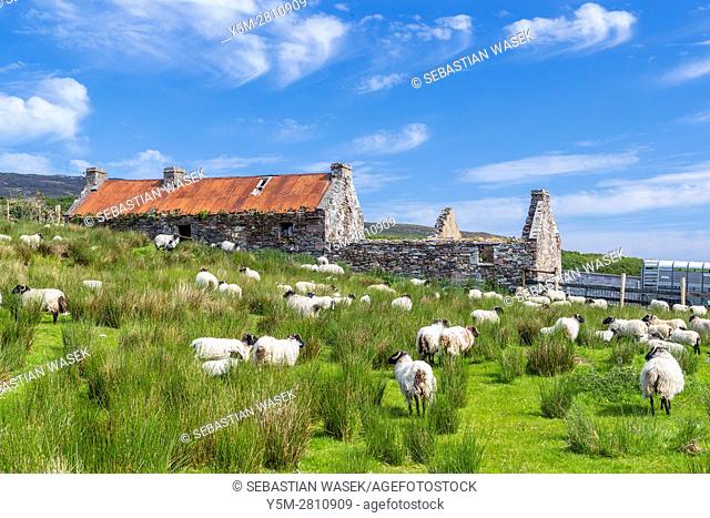 Achill Island, County Mayo, Ireland, Europe