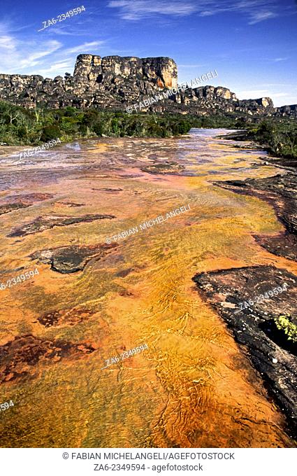 Tea-colored waters and algae stain stream bed on the Auyantepuy summit. Canaima National Park, Bolivar State. Venezuela