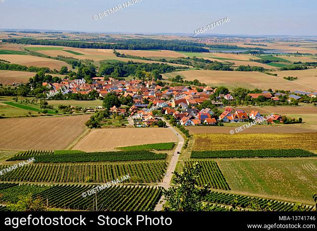 View from the vineyards to the wine-growing village of Bullenheim, Markt Ippesheim, Neustadt ad Aisch-Bad Windsheim district, Middle Franconia, Franconia