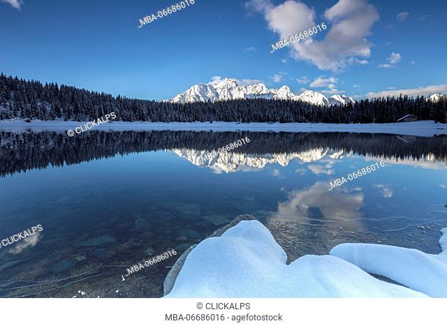 Woods and snowy peaks are reflected in the clear water of Palù Lake Malenco Valley Valtellina Lombardy Italy Europe