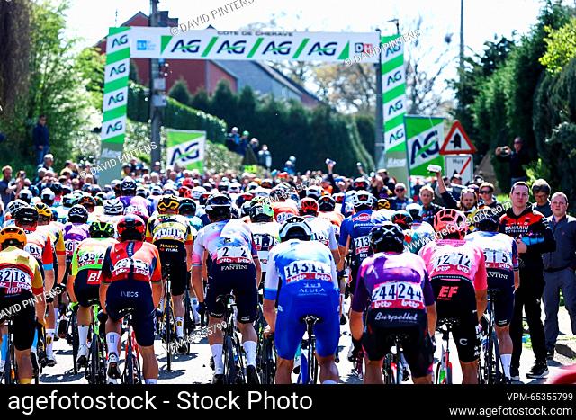 Illustration picture shows the peloton during the 86th edition of the men's race 'La Fleche Wallonne', a one day cycling race (Waalse Pijl - Walloon Arrow), 194