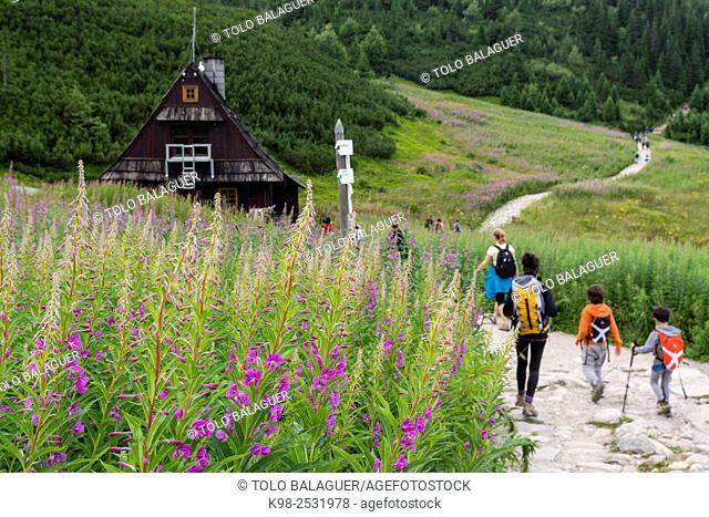 cabaña refugio Betlejemka, Valle de gasienicowa , parque nacional Tatra, voivodato de la Pequeña Polonia, Cárpatos, Polonia, europe