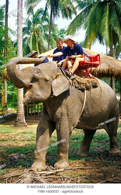 Excursion on Elephants in Krabi