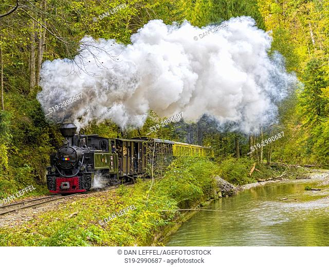 Carpathian Forest Steam Train. Romania