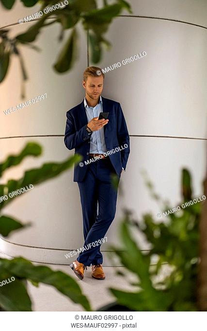 Young businessman looking on smartphone, leaning on a wall