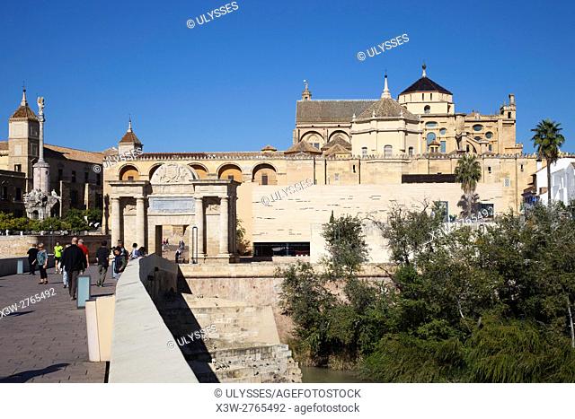 View with Mosque-Cathedral, Roman bridge and Puerta del Ponte, Cordoba, Andalucia, Spain, Europe