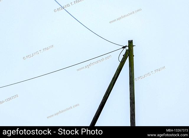 Germany, East Frisia, power line with wooden mast
