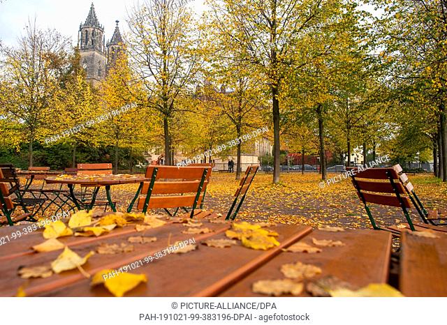 21 October 2019, Saxony-Anhalt, Magdeburg: Autumnally discoloured leaves lie on chairs and tables of the beer garden ""Schweizer Milchkuranstalt Fürstenwall""
