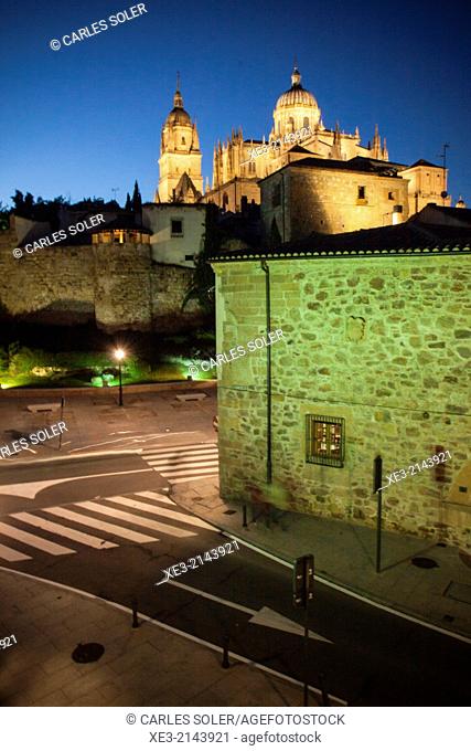 Night view of the old town of Salamanca with Cathedral in background. Castile-Leon, Spain