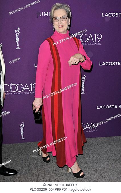 Meryl Streep at the 19th Costume Designers Guild Awards held at The Beverly Hilton in Beverly Hills, CA on Tuesday, February 21, 2017