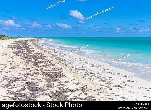 A tranquil Caribbean beach with green water and blue skies