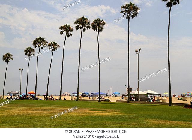 Looking across Peninsula Park towards Balboa Pier Beach, Newport Beach, Orange County, California, United States