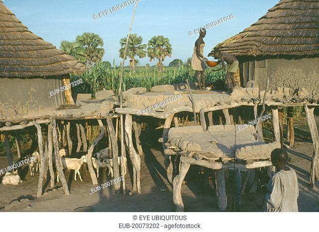 Two Dinka dwellings raised on tree trunks to survive heavy rain during the wet season with livestock tethered below