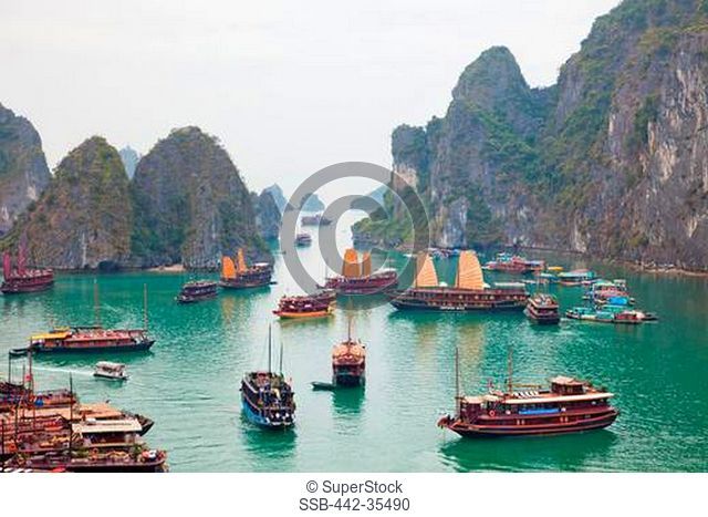 Junk boats in a bay, Ha Long Bay, Quang Ninh Province, Vietnam
