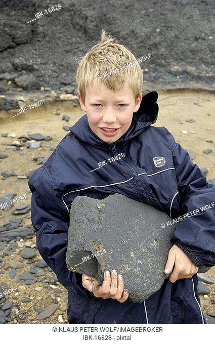 Boy collecting fossiles Jurassic Coast Charmouth near Lyme Regis Dorset East Devon Coast England