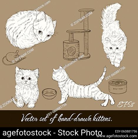 Vintage set with cute kittens. Vector illustration EPS8