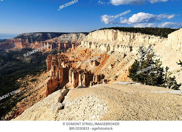View from Powell Point, Escalante Mountains, Dixie National Forest, Utah, USA, North America