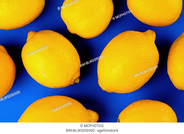 mature lemons
