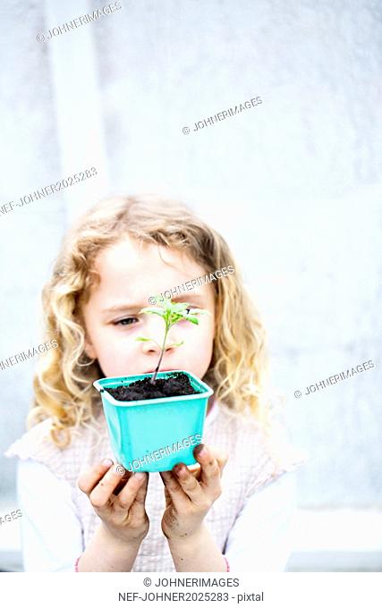 Girl holding seedling in pot