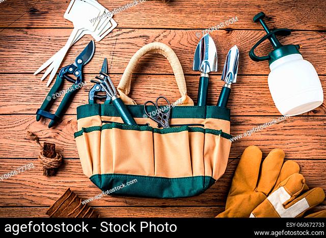 Gardening tools and equipment on wooden background