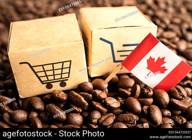 Canada flag on coffee bean, import export trade online commerce concept