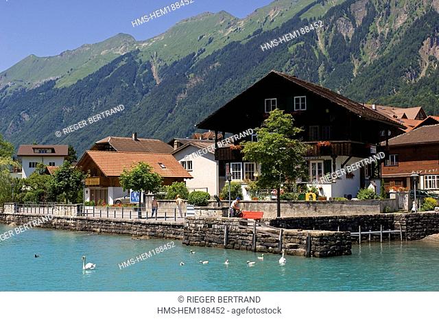 Switzerland, Canton of Bern, Bernese Oberland, Lake Brienz Brienzer See, Brienz village, Harbour
