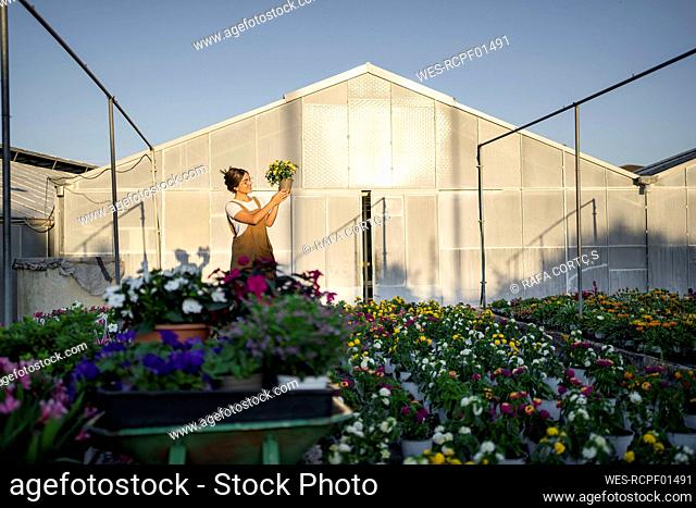 Young gardener standing with potted plant in nursery