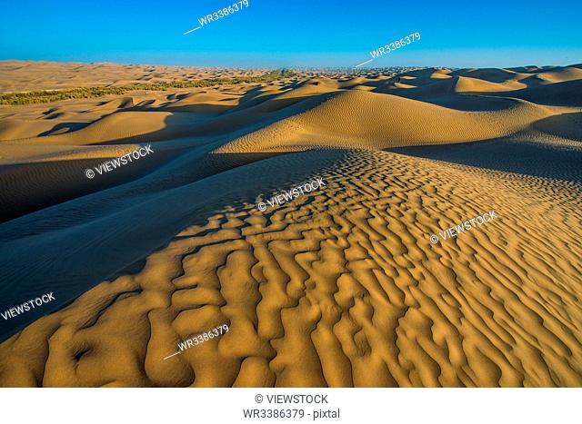 The taklamakan desert