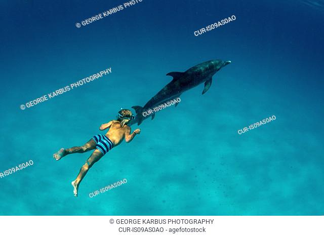 Boy free diving with Atlantic spotted dolphins