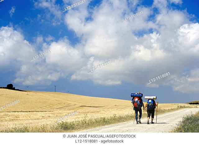 Saint Jacques Way, Road to Santiago pilgrims near Belorado, Burgos province, Castille-Leon, Spain