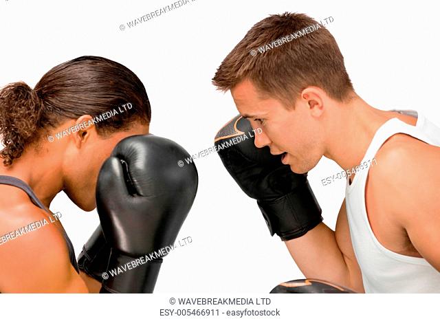 Side view of two boxers