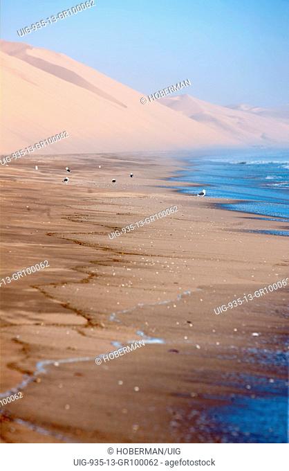 Sea Landscapes and Dunes at Naukluft Park In Namibia
