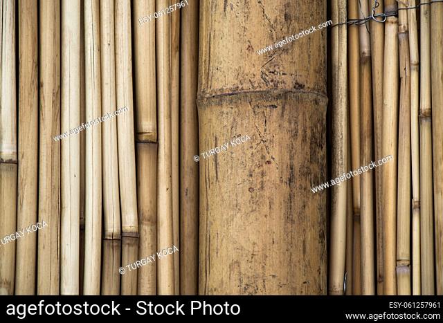 Bamboo sticks in stacks in view